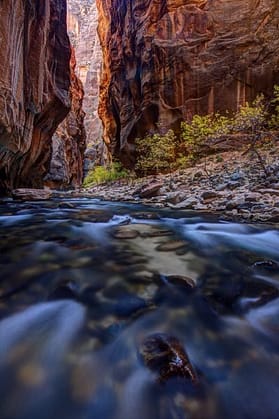 Zion Canyon Narrows